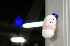 _IGP2518-1.jpg