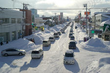 _IGP2958.jpg