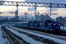 _IGP3233-1.jpg