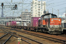 _IGP3845.jpg