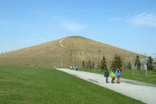 RIMG8519.JPG