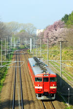_IGP4140.jpg