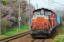 _IGP4194.jpg