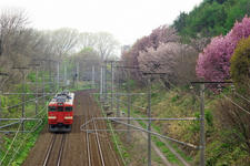 _IGP4237.jpg