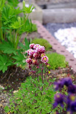 _IGP4528.jpg
