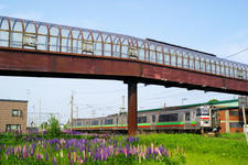 _IGP4641.jpg