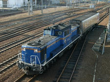 RIMG9146.JPG