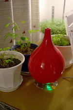 _IGP6249.jpg