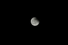 _IGP6379.JPG