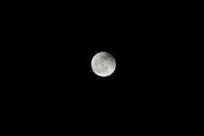 _IGP6391.JPG