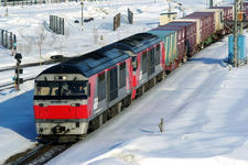 _IGP7431a.jpg