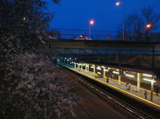 CA3J0227-1.JPG