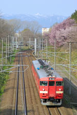 _IGP7873a-4.jpg