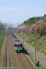_IGP7914.jpg