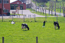 _IGP7927.jpg