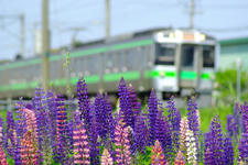 _IGP7976a.jpg
