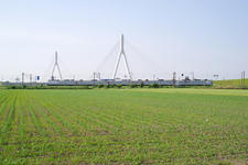 _IGP7989.jpg