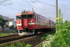 _IGP8181.jpg