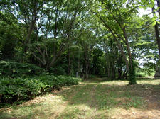 RIMG0562.JPG