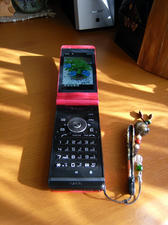 RIMG9892.JPG