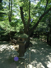 RIMG9899.JPG