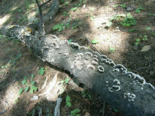 RIMG9918.JPG