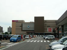 RIMG9937.JPG