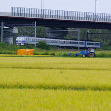 _IGP8616.jpg