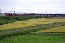 _IGP8673.jpg