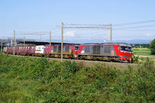 _IGP8821.jpg