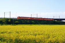_IGP8937.jpg