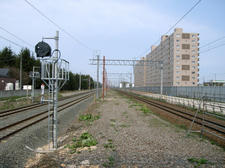 RIMG7911.JPG