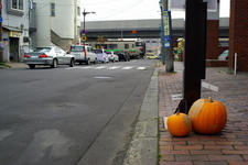 _IGP0773.jpg