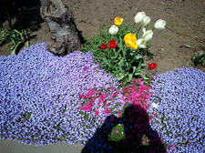 CA3J0183.JPG
