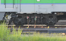 _IGP2110.jpg