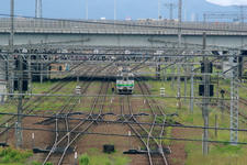_IGP2241.jpg