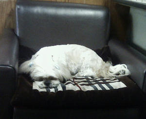 200805091019000.jpg