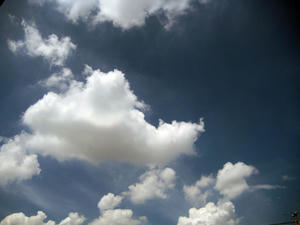 IMG_1156.JPG