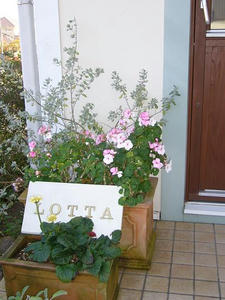 d1424c11.jpg