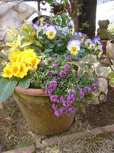2e2656b8.jpg