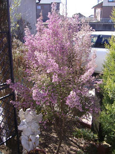 5c2b8f86.jpg