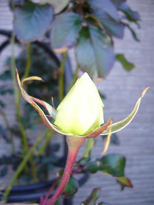 b836fa3f.jpg