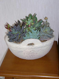 ef3279e2.jpg