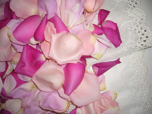 b77d84ac.jpg