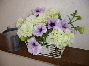 7685730d.jpg