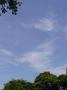 9c70df33.jpg
