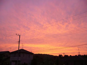 f02b88e7.jpg