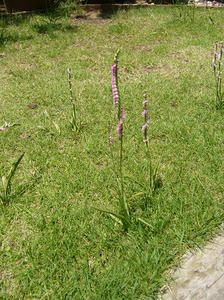 6f9b8e24.jpg