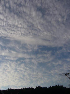 061da793.jpg