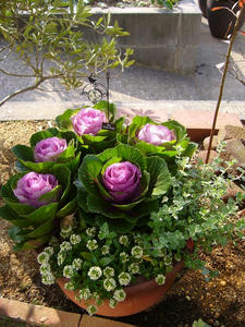 cb49efe4.jpg